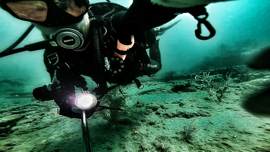 A SCUBA diver under water